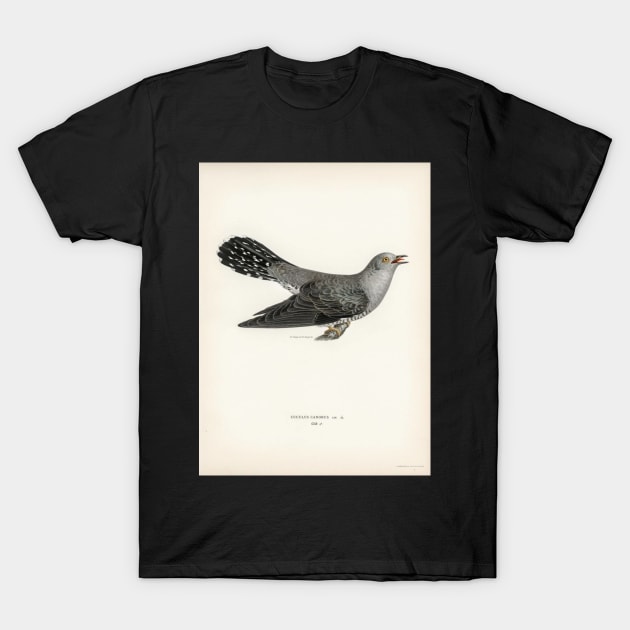 Common cuckoo-male (cuculus canorus) illustrated by the von wright brothers T-Shirt by Donkeh23